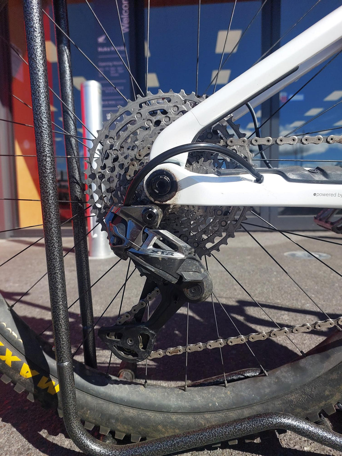 2026 Orbea Wild M-Ltd ! NOW 45km/hr for those Speedsters !