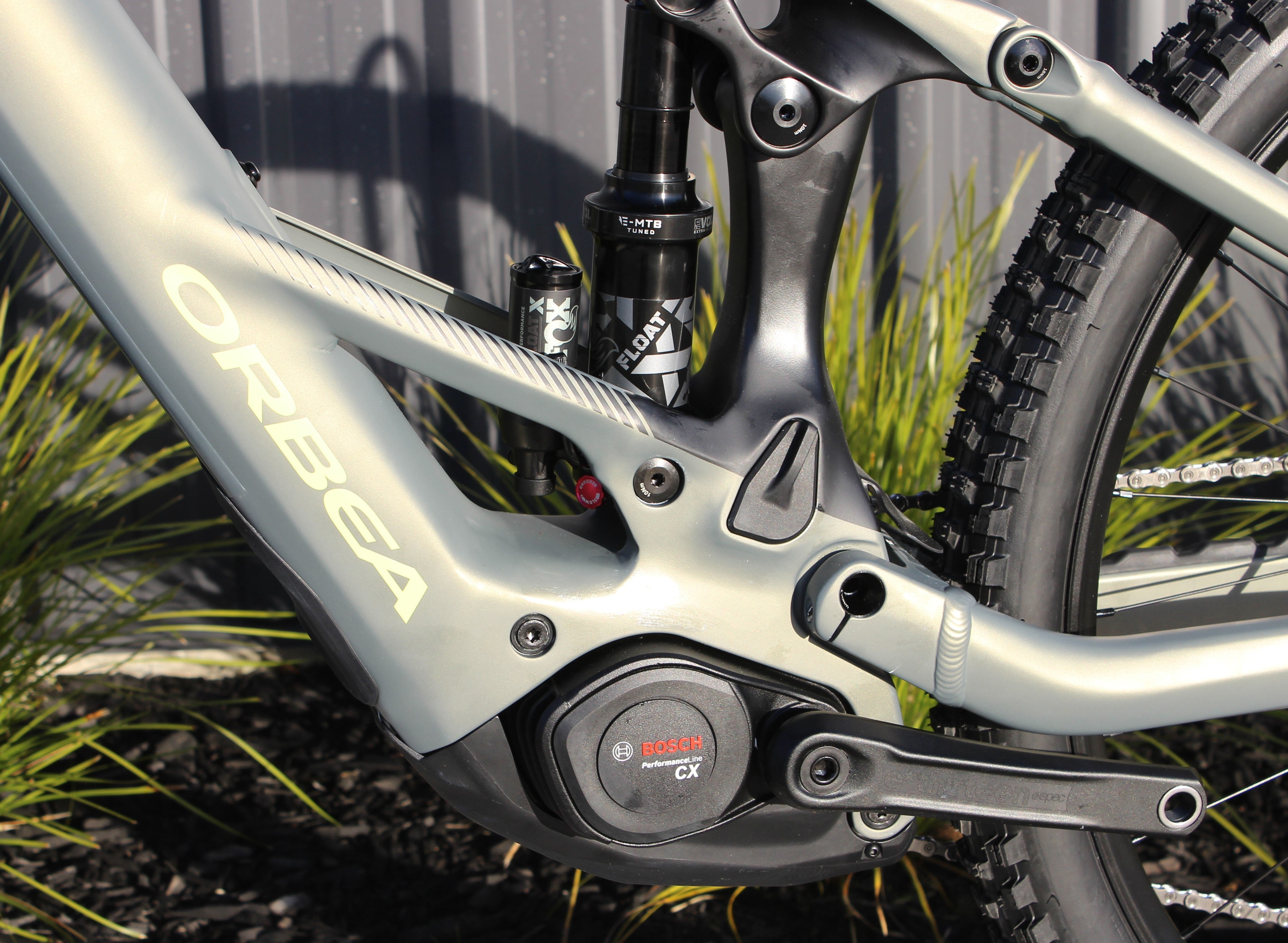 2025 Orbea Wild
