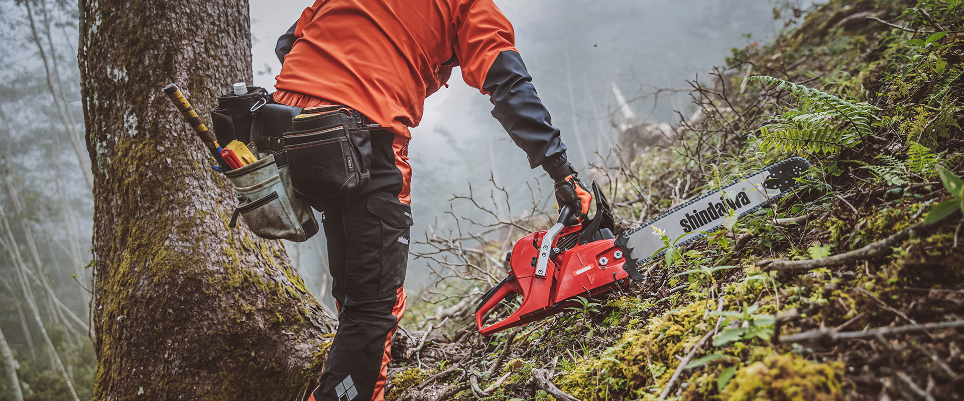 Shindaiwa 601SX Chainsaw