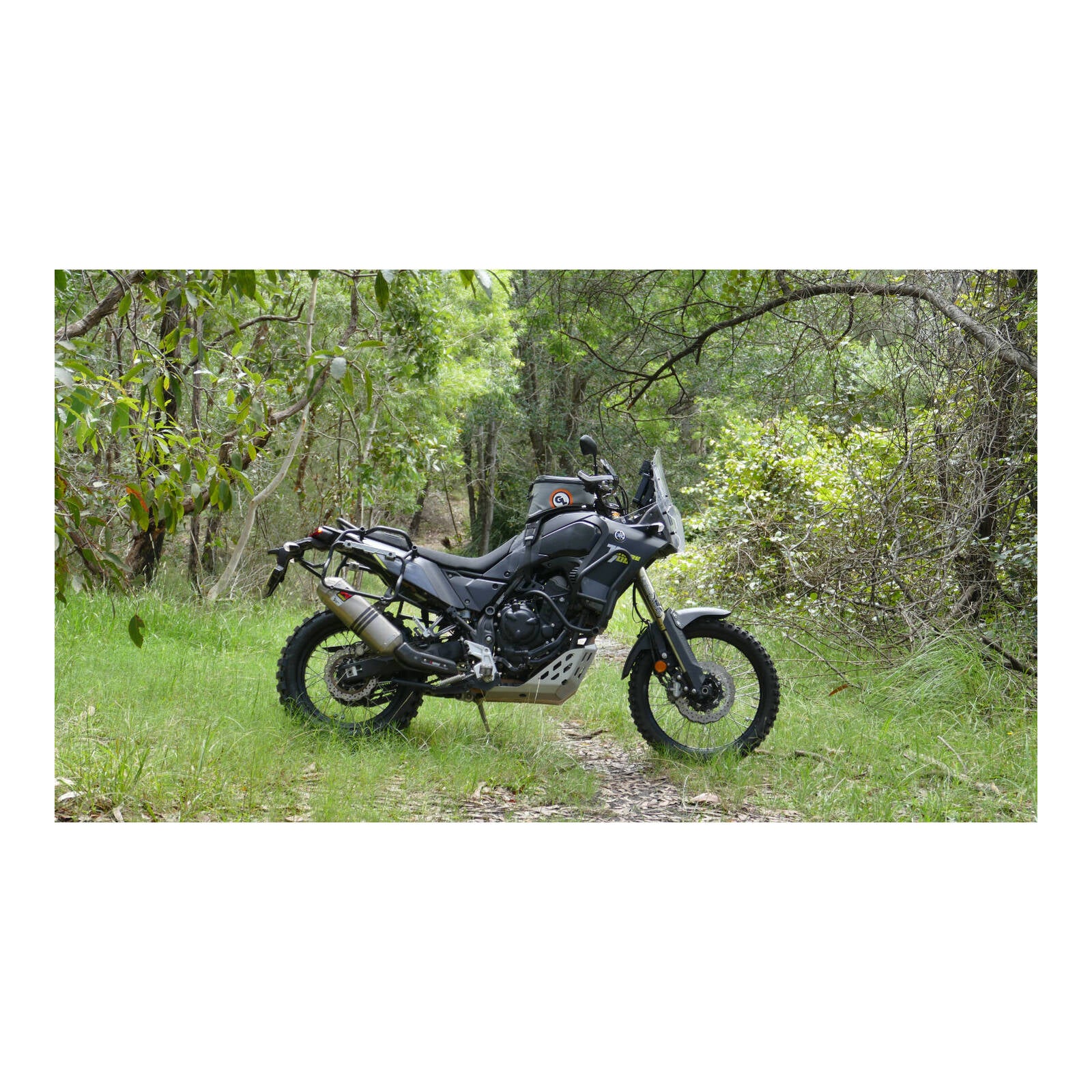 Giant Loop Fandango Tank Bag - Black